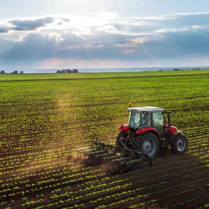 Direito Agrário e do Agronegócio